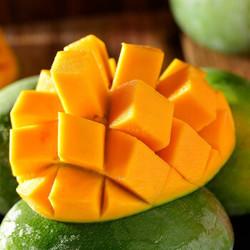 四川攀枝花凯特芒果 5斤装大芒果