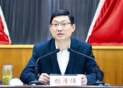 杨泽伟在基层治理中创更多临安经验