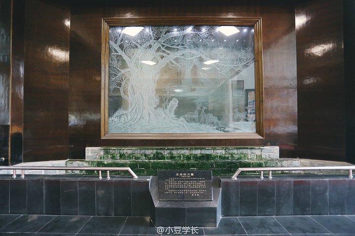 吴子熊玻璃艺术馆"的评论图片