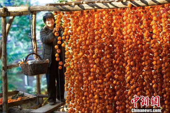 放眼望去,整个柿子沟村民屋前,挂柿子一排一排火红火红的,很是壮观.