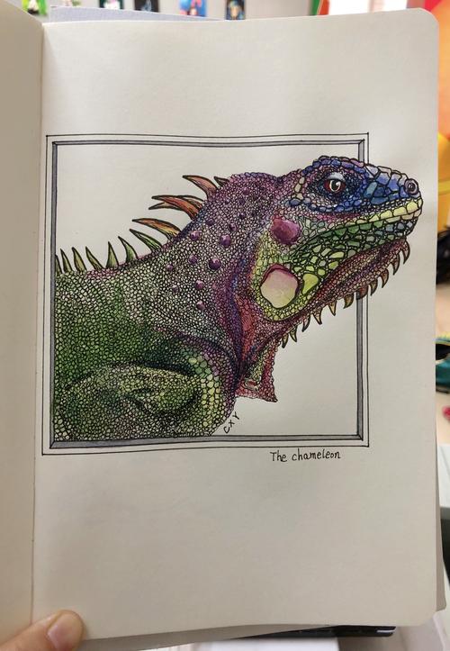 蜥蜴|纯艺术|绘画|cuixiaoyu8 - 原创作品 - 站酷