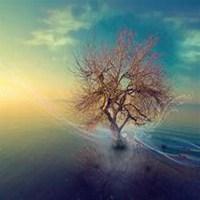 意境山水头像高清大素材_微信头像图片大全