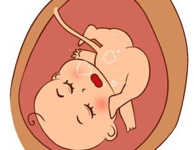 为什么胎儿有时在肚子里颤抖,有时一整天都没动静,会