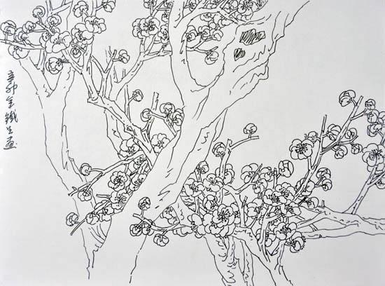 梅花写生(图一)