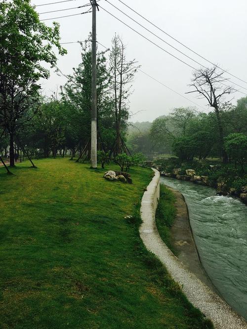 微雨的清晨郁郁葱葱清澈的沱江温和地流淌卷走世俗纷扰的尘嚣让人凝神