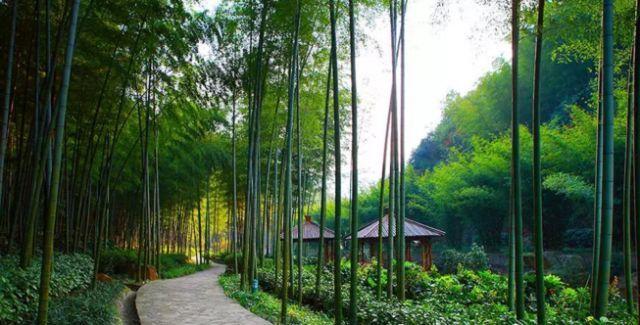 喜讯!宜兴阳羡生态旅游度假区上榜国家级旅游度假区!