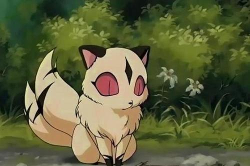 犬夜叉云母图片高清壁纸