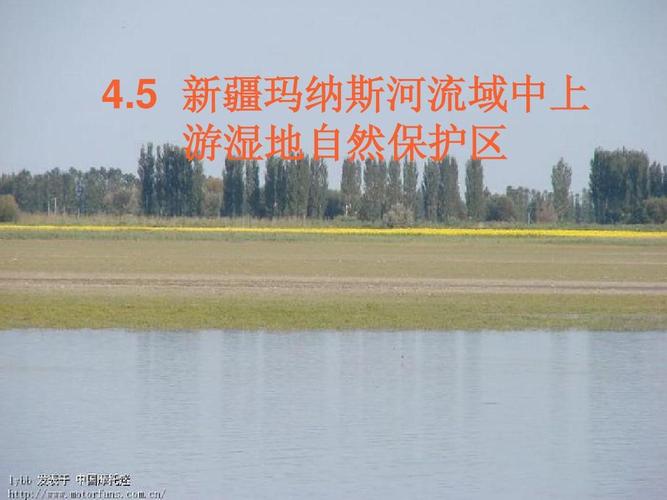 玛纳斯河流域中上游湿地自然保护区ppt