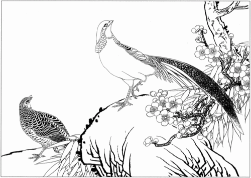 鸡白描工笔画底稿pdf9页