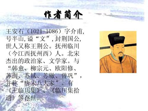 桂枝香金陵怀古王安石ppt