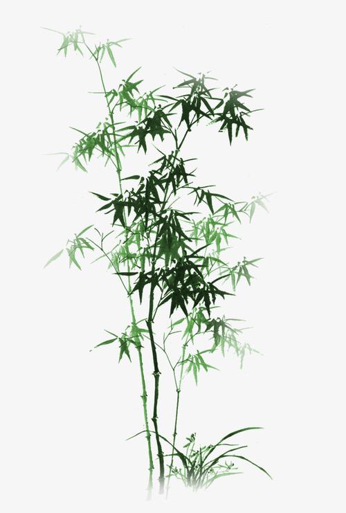 卡通绿色竹子装饰植物插画春天春季元素