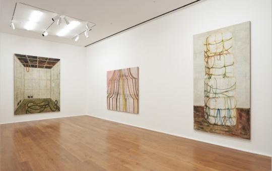 浓妆淡抹总相宜 张恩利伦敦hauser&wirth个展