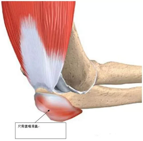 【名医讲堂】长春中医药大学终身教授赵文海谈尺骨鹰嘴滑囊炎