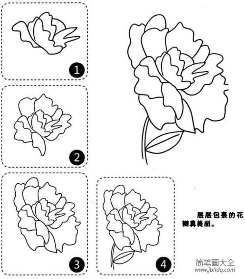 漂亮的牡丹花简笔画