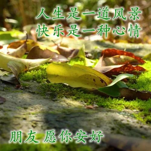 温馨独特的早安问候图片,祝福相随的早上好图片