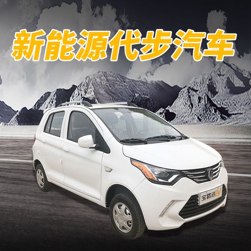 新款雷丁宝路达ds7成人四轮电动汽车油电两用全封闭新