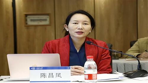 清华大学陈昌凤教授华中科技大学张昆教授北京大学程曼丽教授中国人民