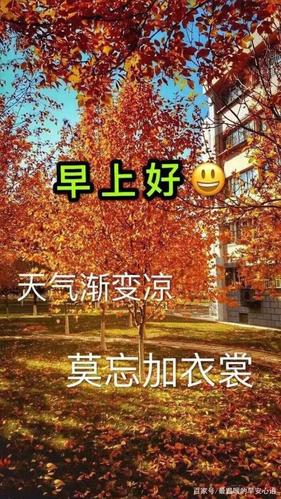 十月秋天早晨好最美祝福图片带字美图 秋天天冷降温暖心的问候语