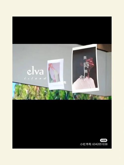 elva艾娃夏季订货会~_夏天去哪玩_elva艾娃新款上新了_时尚_时尚其他