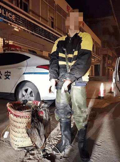 本想抓几只野鸡来打打牙祭,广安前锋一男子趁着夜色,带着诱捕工具上山