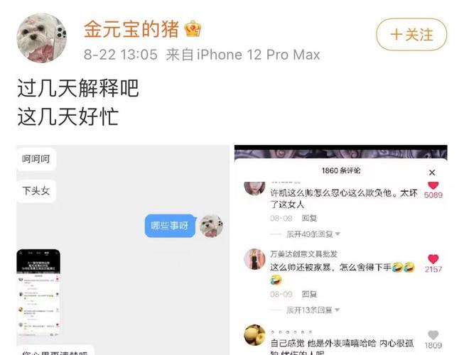 原创许凯前女友大金预告将重新回应家暴事件,网友期待大瓜:快锤死他