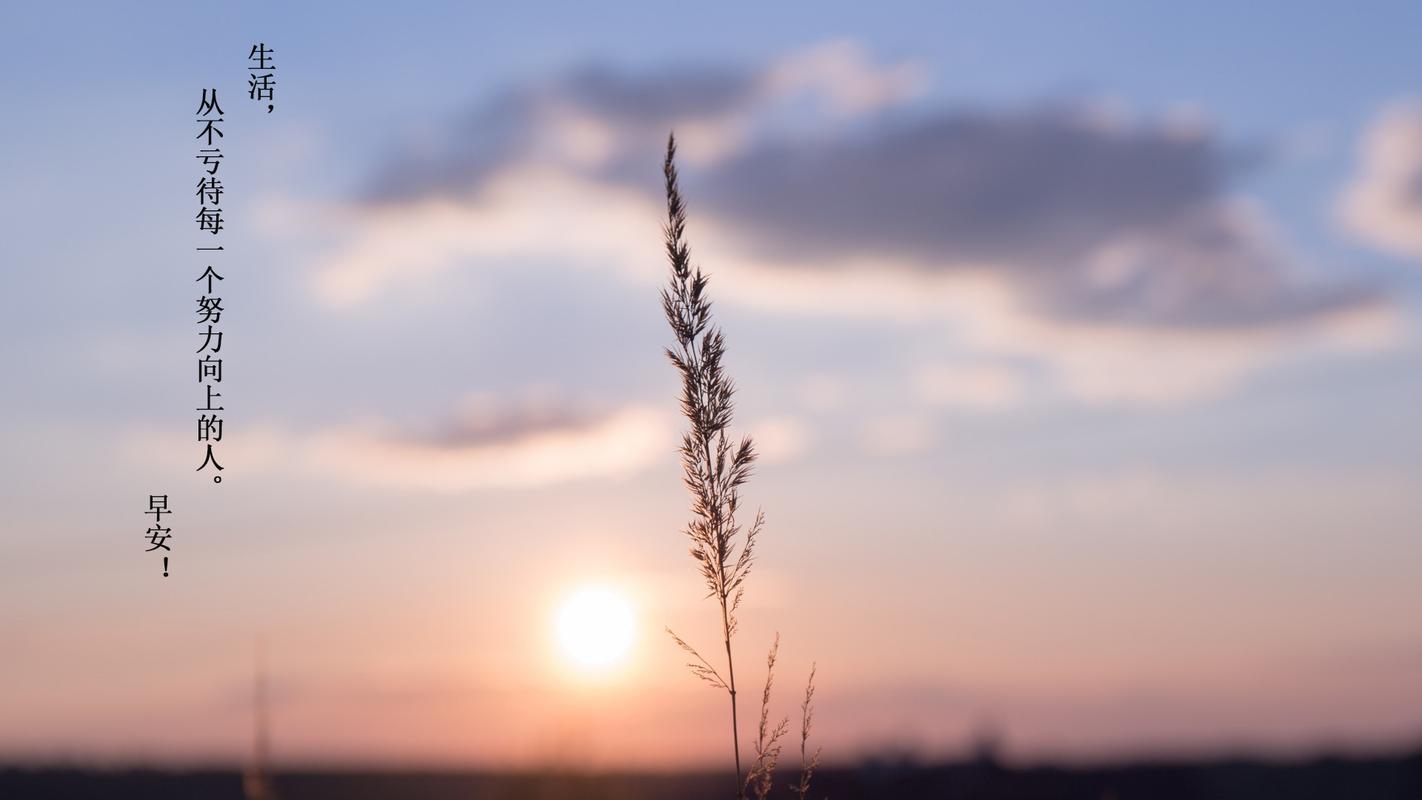 首页 桌面壁纸 高清壁纸 清新简约励志文字图片桌面壁纸1920_1080手机