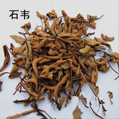 满两斤包邮 金星草 石韦 石皮 元 9 克 500 石苇 中要材