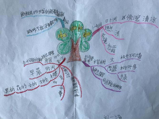 四年级七班第二期优秀作品展—《鸟的天堂》思维导图