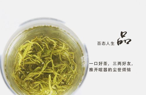 春竹茶行茶叶 嫩芽蒙顶甘露 高山云雾绿茶批发