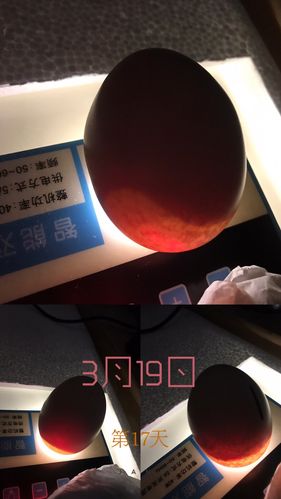 1154_2050竖版 竖屏