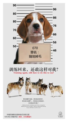 0   点 关键词: 创意户外拓展广告免费下载,创意广告,海报,狼,狼群
