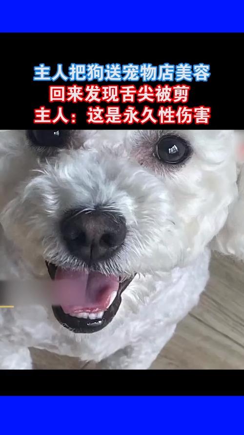 美容院称只是被划破不知舌头被剪