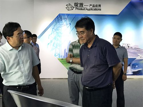 朱宝平副巡视员详细了解了公司发展情况及宽禁带半导体碳化硅在微波