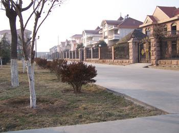  p>政区人口山东市胶州市 a href="#" data-lemmaid="7261616">中云