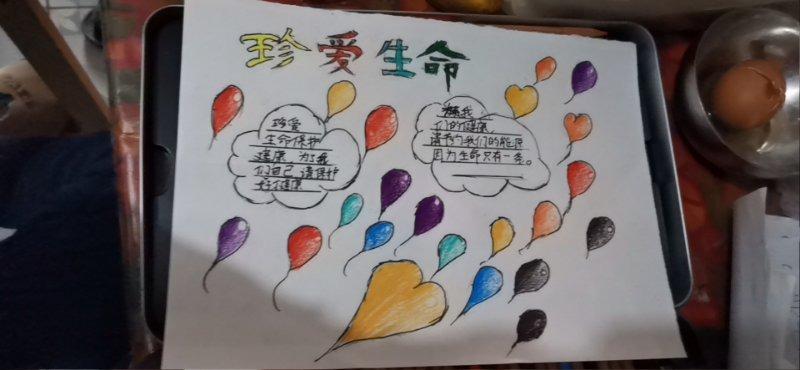 "争当安全小卫士""安全守护我成长"
