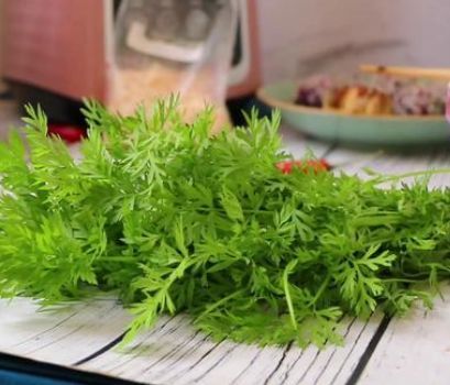 胡萝卜樱营养价值高,遇见别错过,简单蒸一蒸,营养又鲜香|窝窝头|樱子