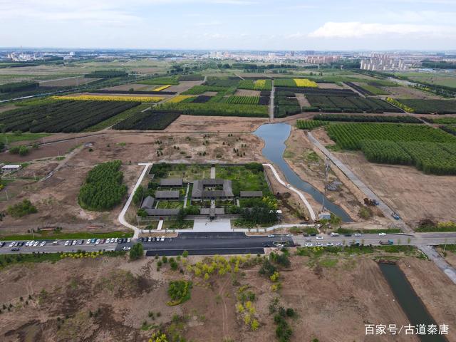 辽阳灯塔附近发现一片芍药花观赏地,免费参观拍照.
