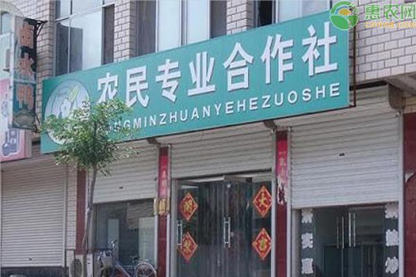 2020年10月16日,农业农村部发布关于开展2020年国家农民合作社示范社