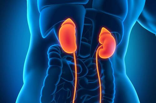 cabometyx获欧盟批准二线治疗晚期肾细胞癌