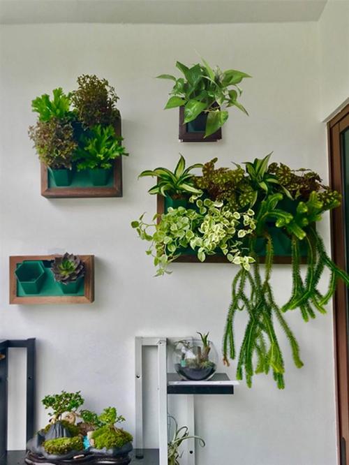创意花架墙上免钉壁挂墙上花盆真植物相框挂式挂墙绿植吊兰绿萝