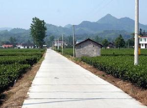 宽敞的乡村道路