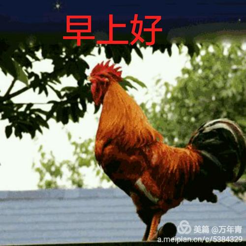 你早上好!用歌声拌随你及家人开心快乐每一天!