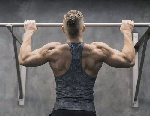 健身不练背,身体迟早"报废"?背部带来的好处你清楚吗?