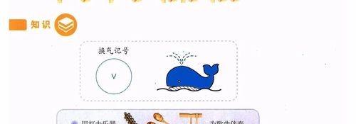 今天的音乐小知识——认识换气记号