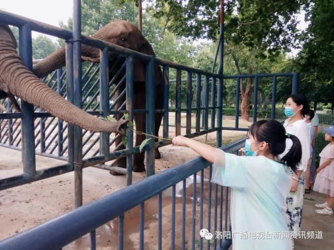 王城公园动物园新设动物投喂试点增强游客互动体验