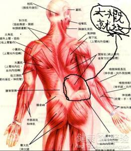 肾脏不好的人会长期的腰痛这种情况应当给予适当的治疗只作休息是没有