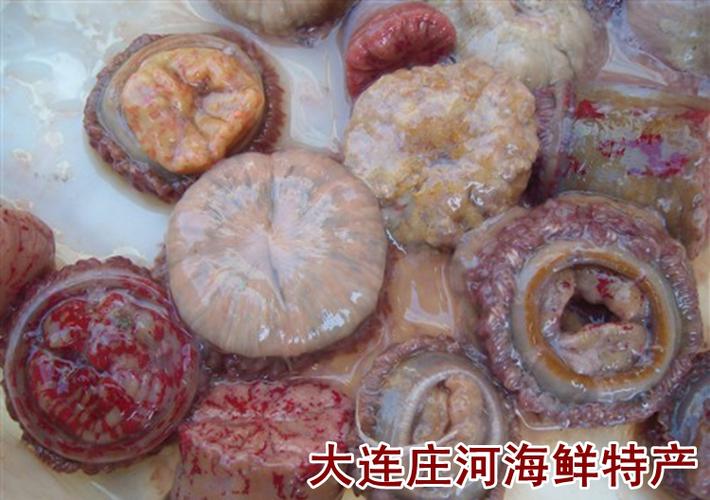 大连庄河海鲜特产 鲜活海葵 海花 新鲜海腚根 熬汤营养美味500克_7折