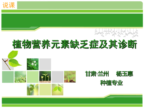 植物营养元素缺素症及其诊断.ppt