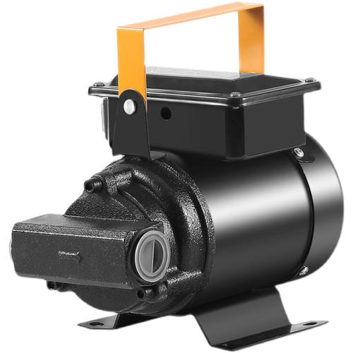 电动抽油泵12v24v220v自吸大功率大流量齿轮泵柴机油多功能加油机