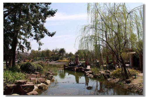 1日周日深圳外拍活动-平湖生态园 正在整治的茅洲河 深圳园博园 微妙